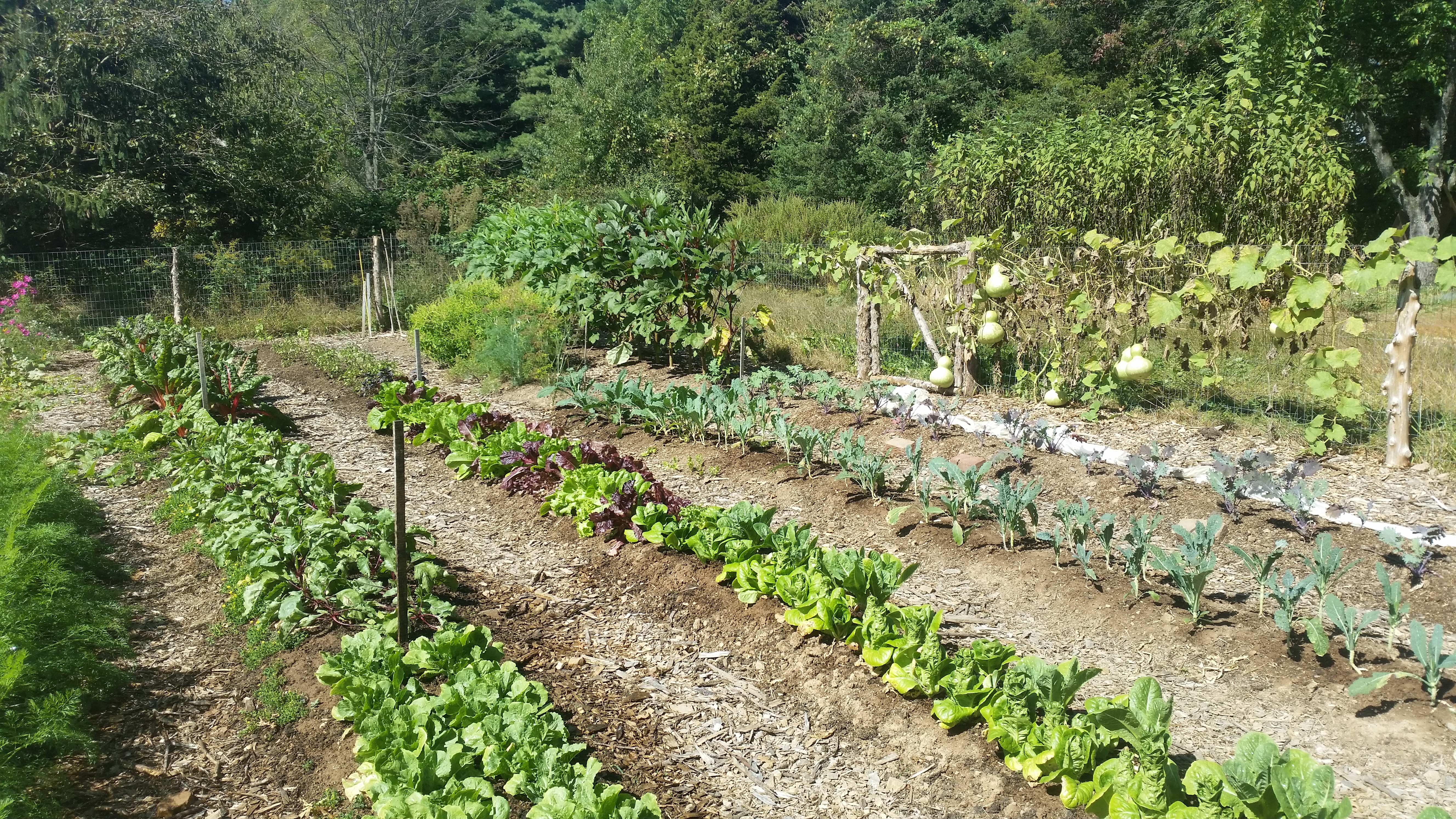 Hundred Fruit Farm photo